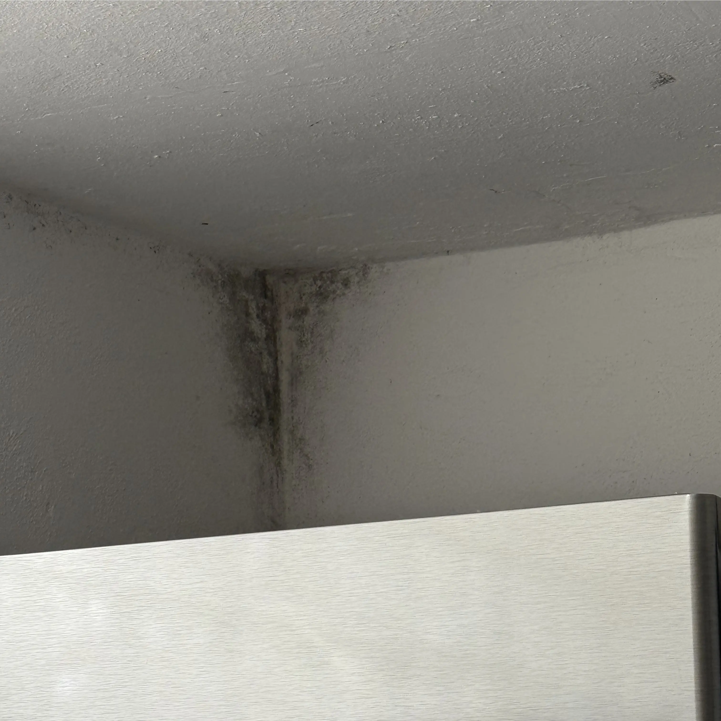 Schimmelpilzflecken an einer feuchten Wand im Wohnraum