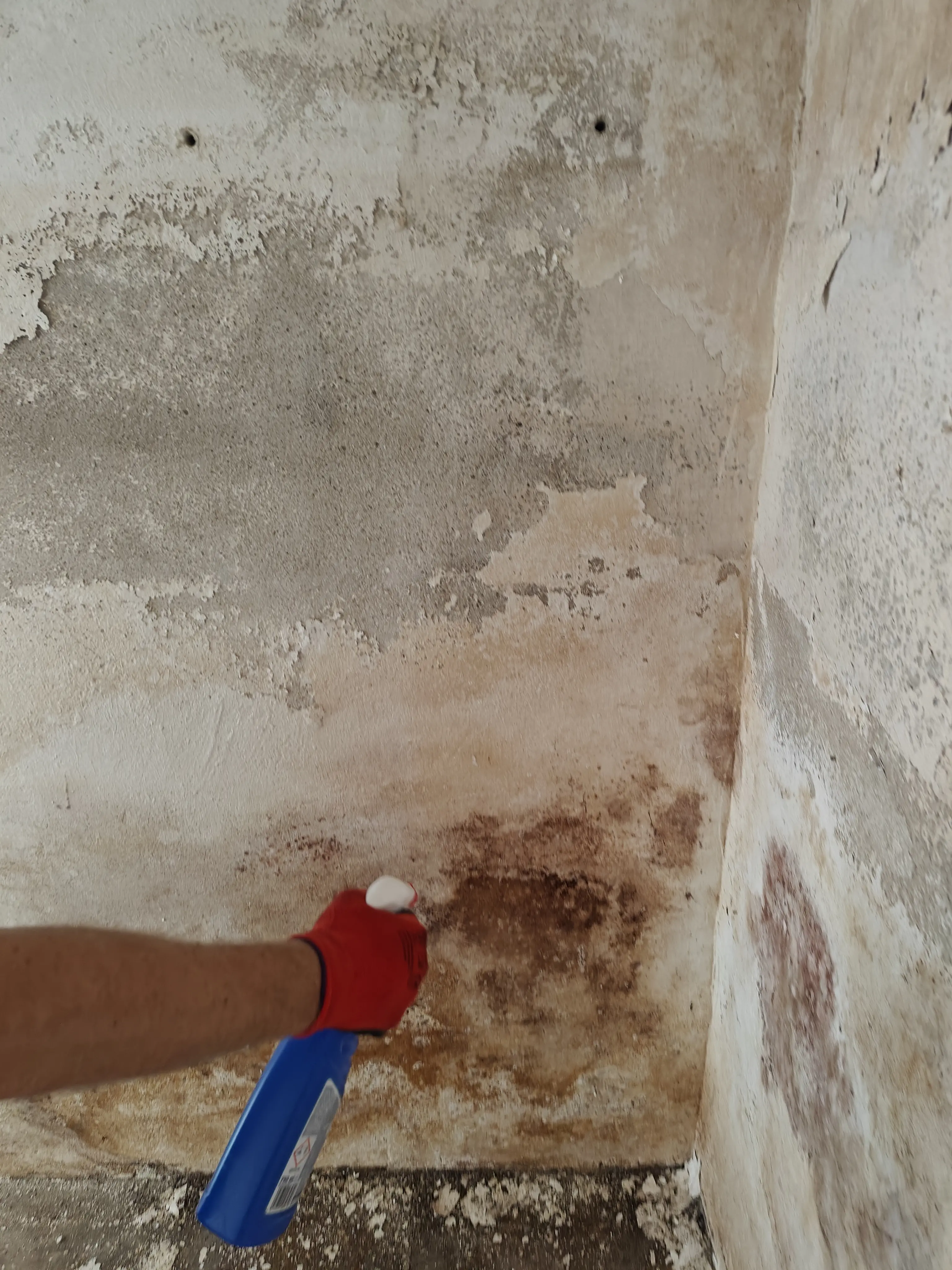 Anwendung von Schimmelentferner an befallener Kellerwand mit Sprühflasche